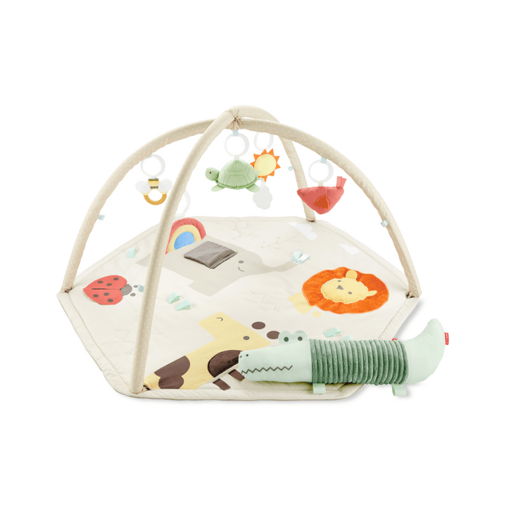 Skip Hop Geometric Wonders Activity Gym