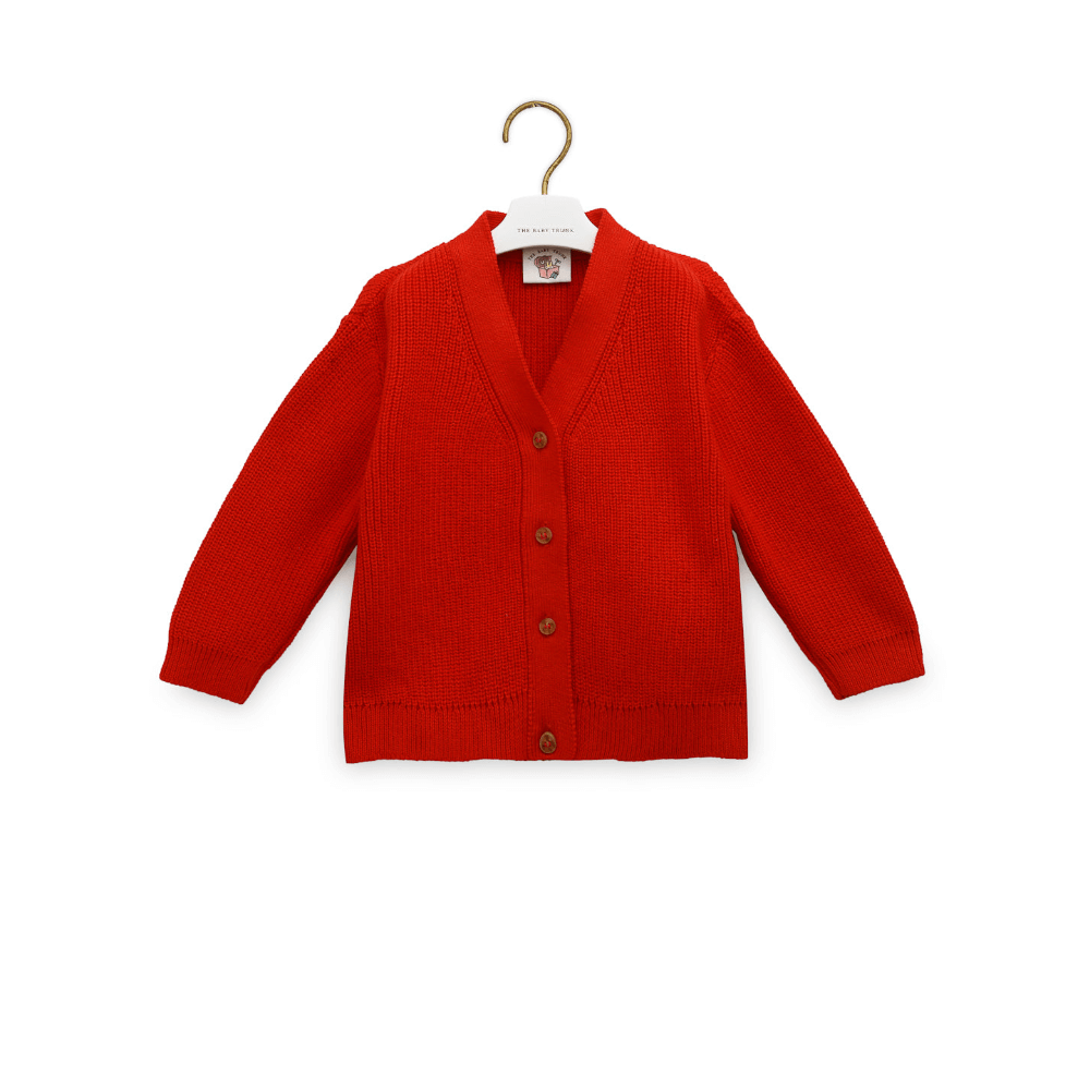 The Baby Trunk Christmas Cardigan &amp; Onesie Set For Newborn