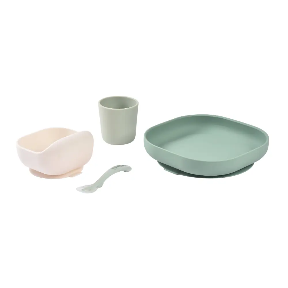 #color_sage-green-misty-green