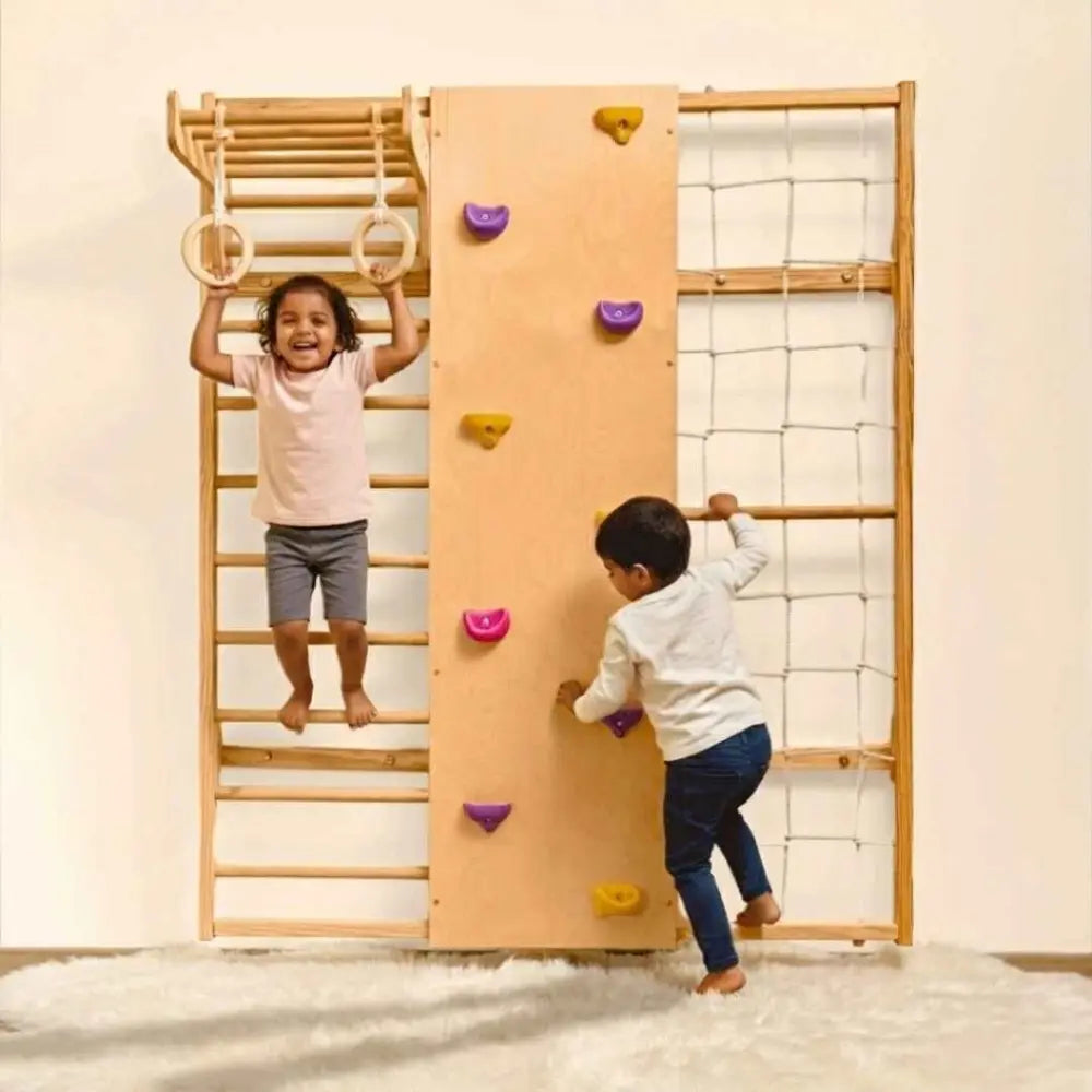 Curious Cub Wall Mounted Indoor Jungle Gym | Including 5 Activities - Monkey Bar, Rope Climbing, Rock Cimbing, Gymnastic Rings and Wooden Ladder | Active Play | Ages 2-9 Years