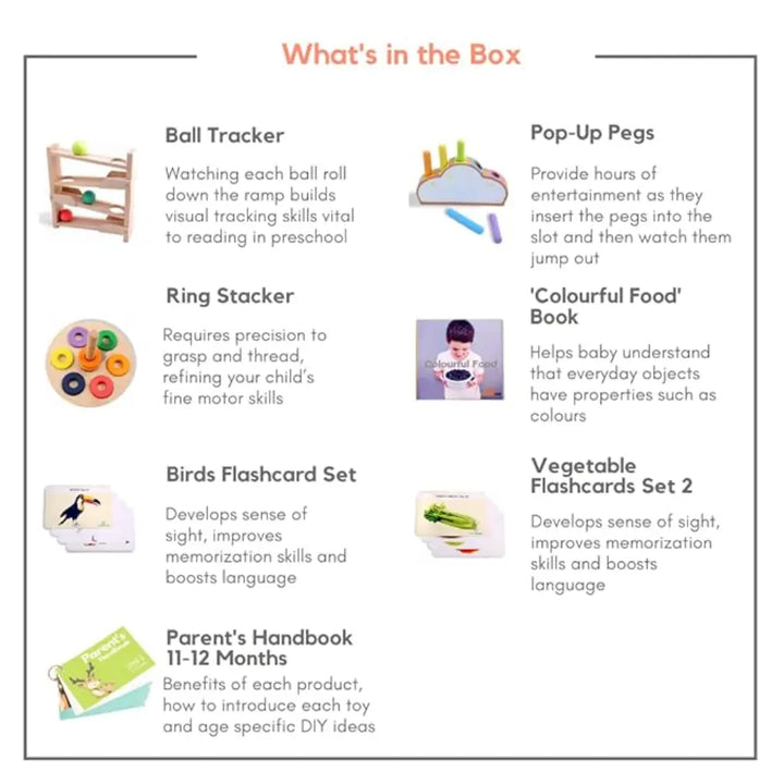 Curious Cub Montessori Box 6 | 6-Piece Baby Activity Toy Set | Ball Tracker, Ring Stacker &amp; Flashcards | 11+ Months