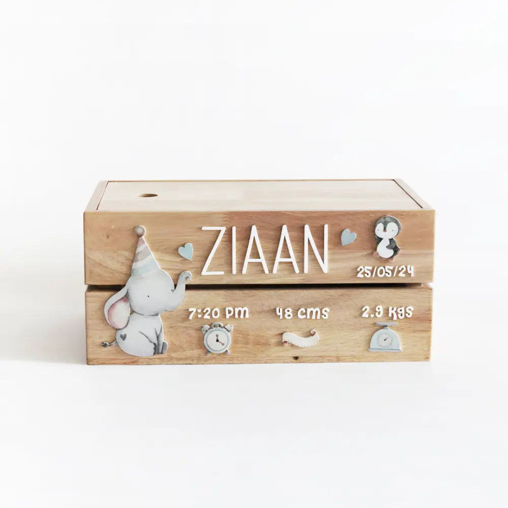 The Tiny Trove Personalized Wooden Box - Birth Statistics Boy Theme