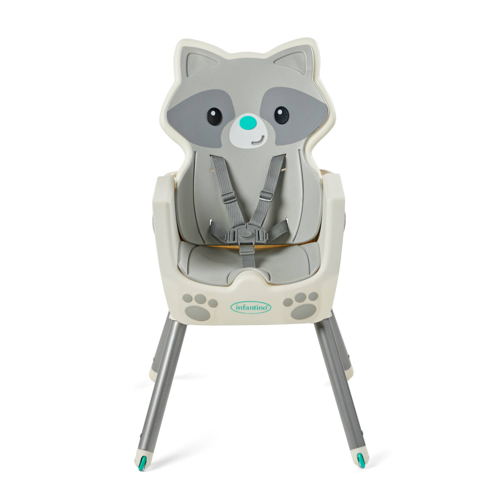 raccoon