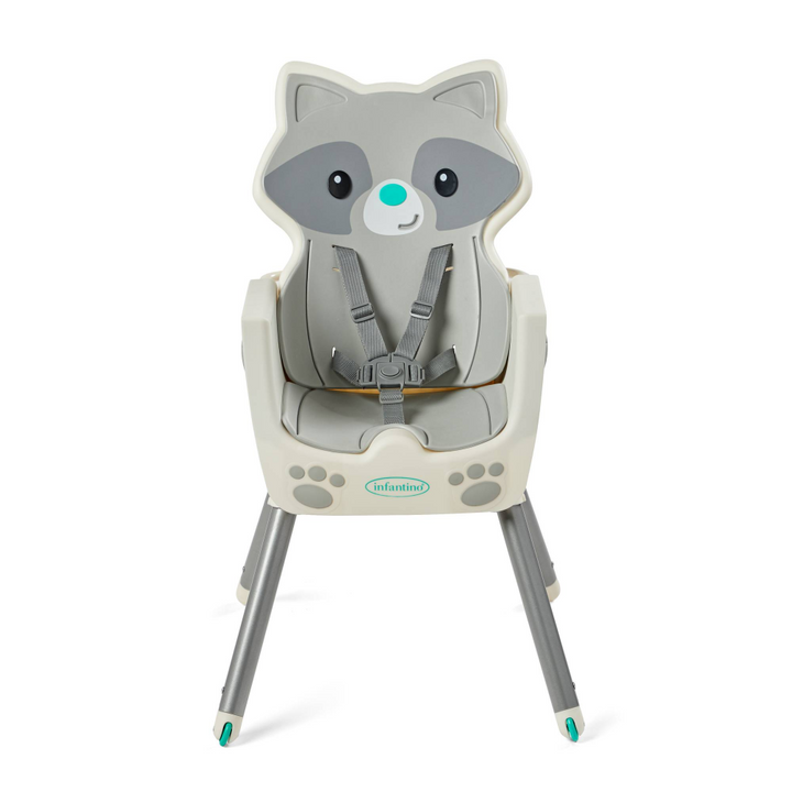 raccoon