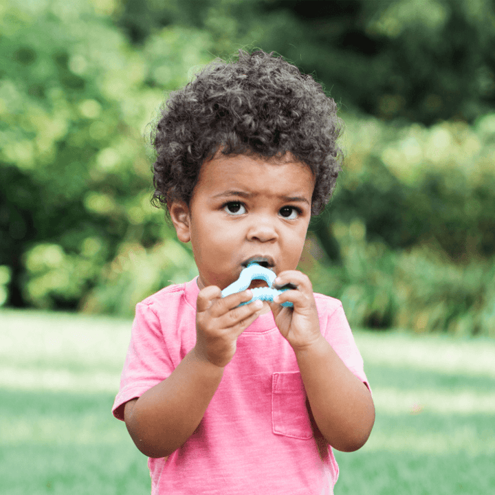 Green Sprouts Molar Teether (12 months+)