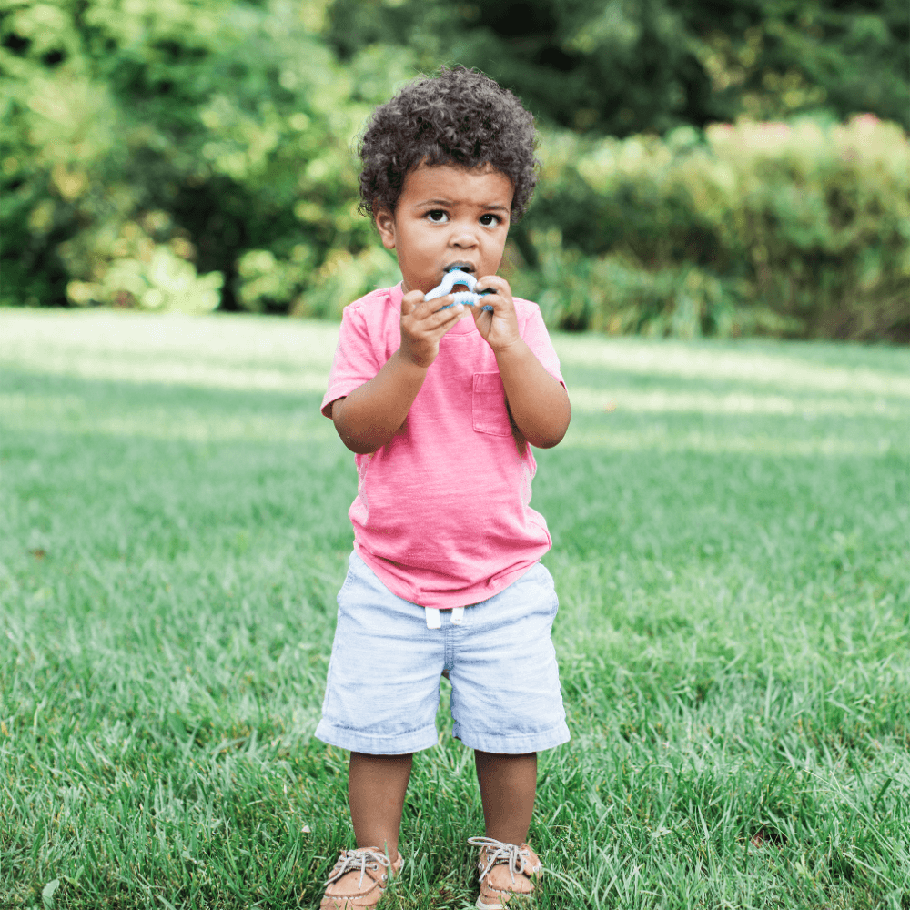 Green Sprouts Molar Teether (12 months+)