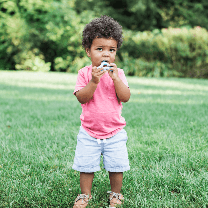 Green Sprouts Molar Teether (12 months+)