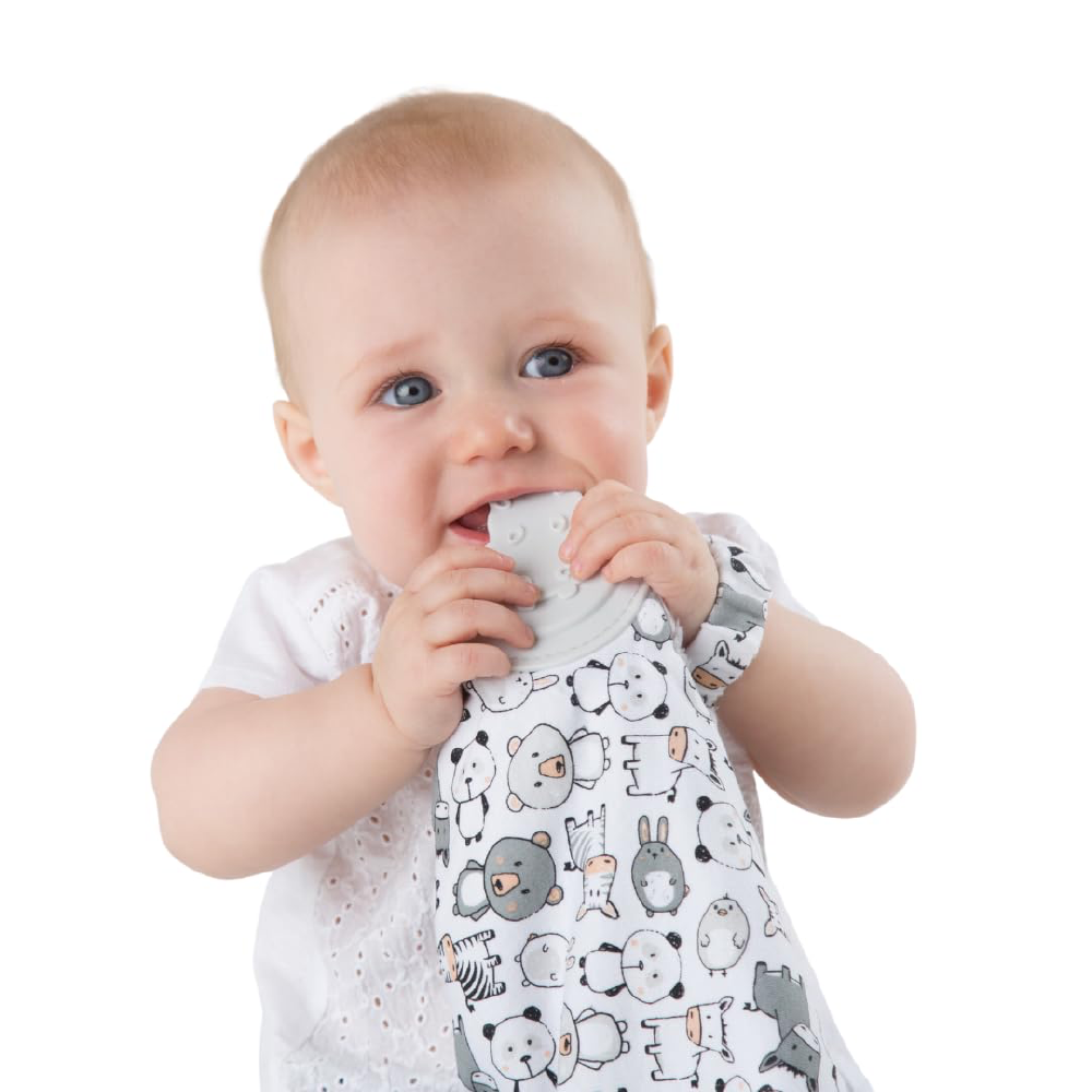 Cheeky Chompers Baby Comforter with Teether