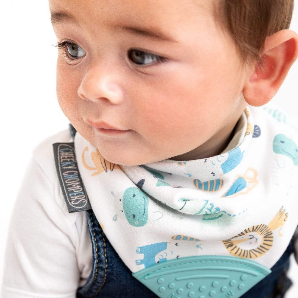 Cheeky Chompers Baby Bib with Teether