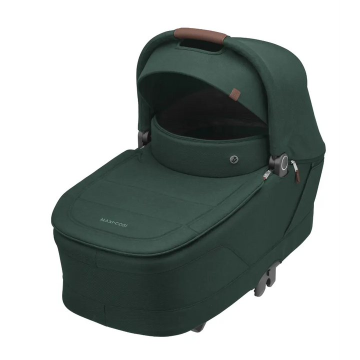 #color_grey-green