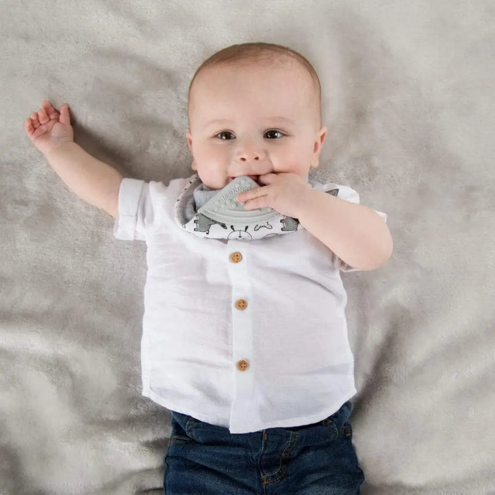Cheeky Chompers Neckerchew for Babies &amp; Toddlers, Reversible Bib with Attached Silicone Teether, Super Absorbent, BPA-Free, 2–24 Months - Panda Pals