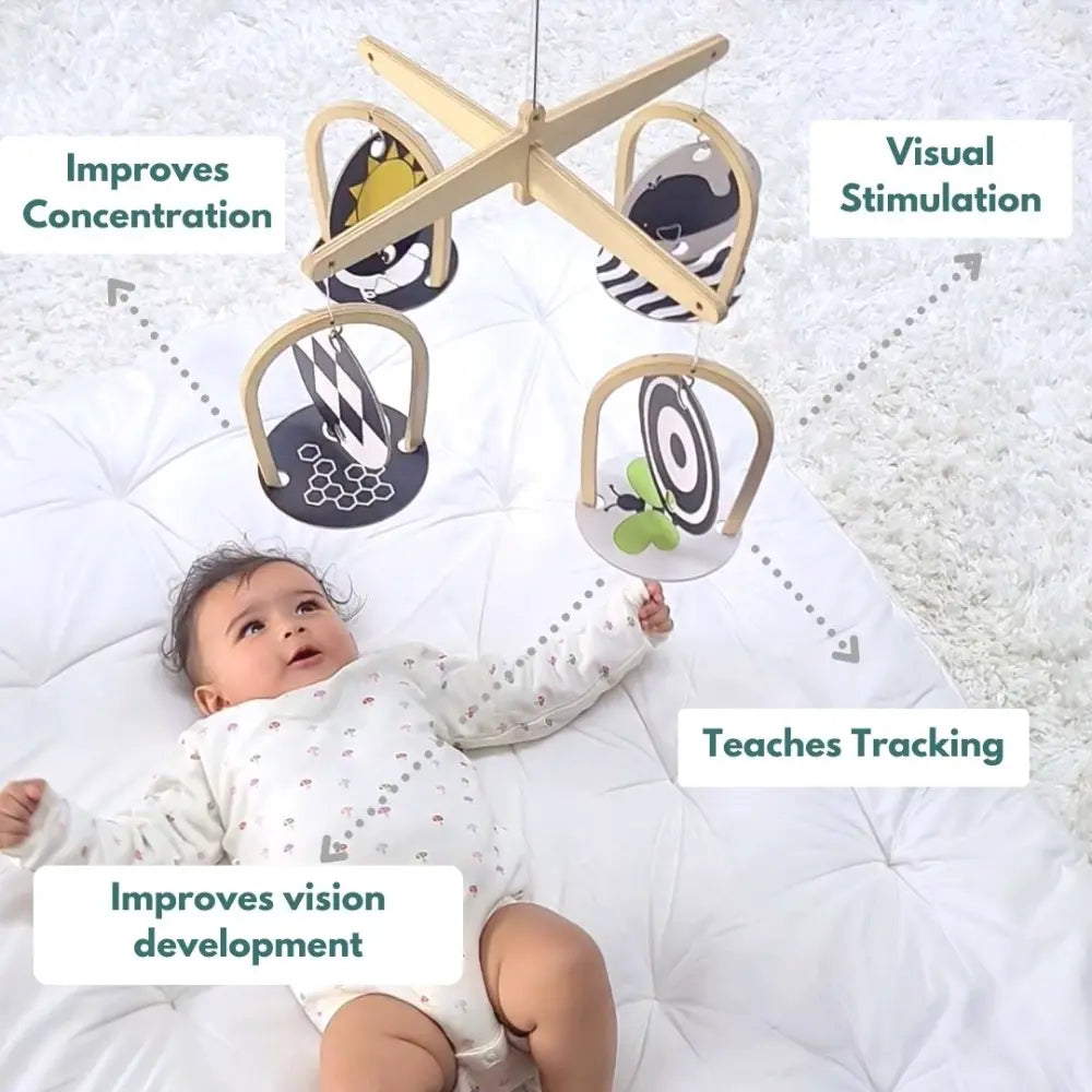 Curious Cub Montessori Box 1 | Newborn Sensory &amp; Learning Toys | Black &amp; White Mobile, Rattle &amp; More | For 0 Months +