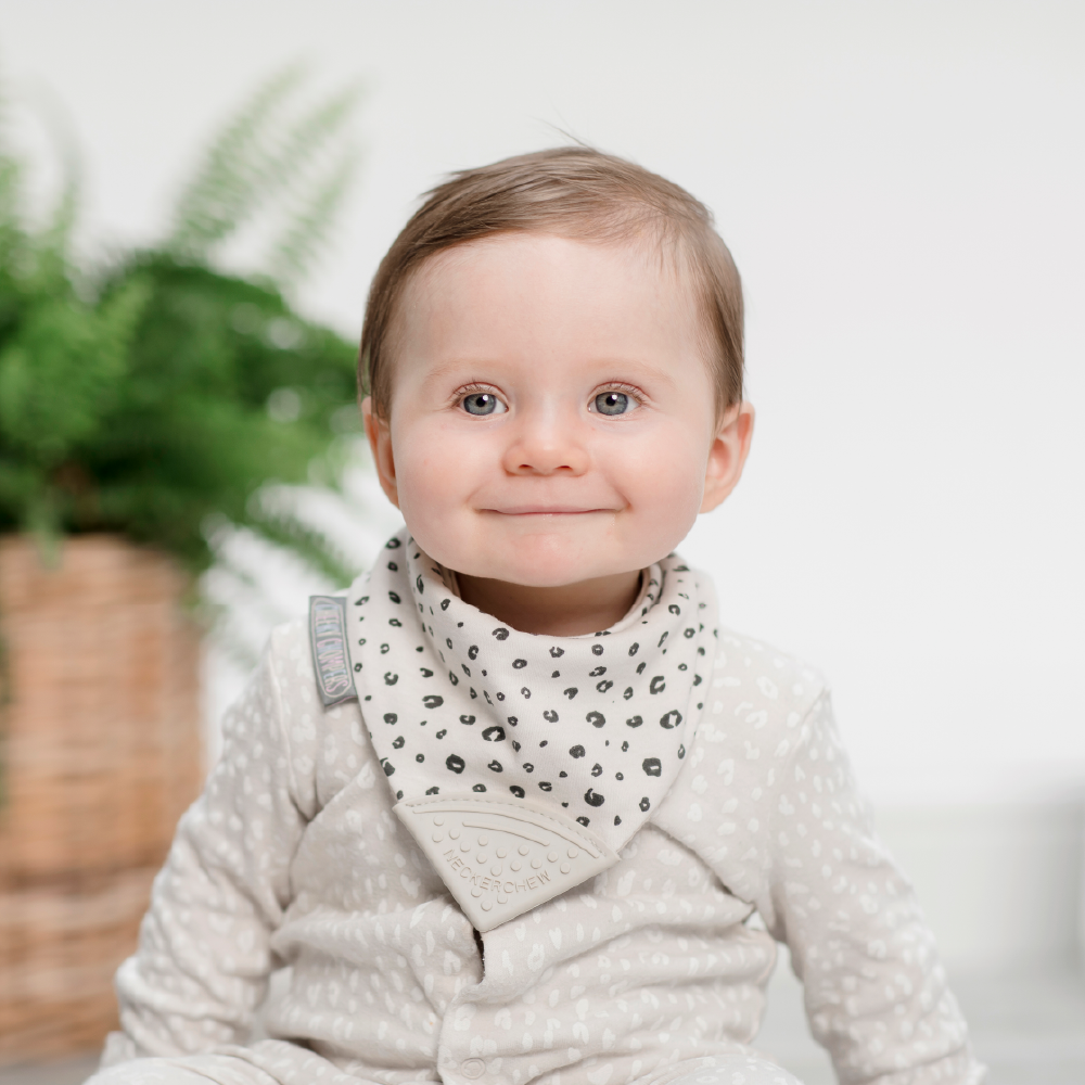 Cheeky Chompers Baby Bib with Teether