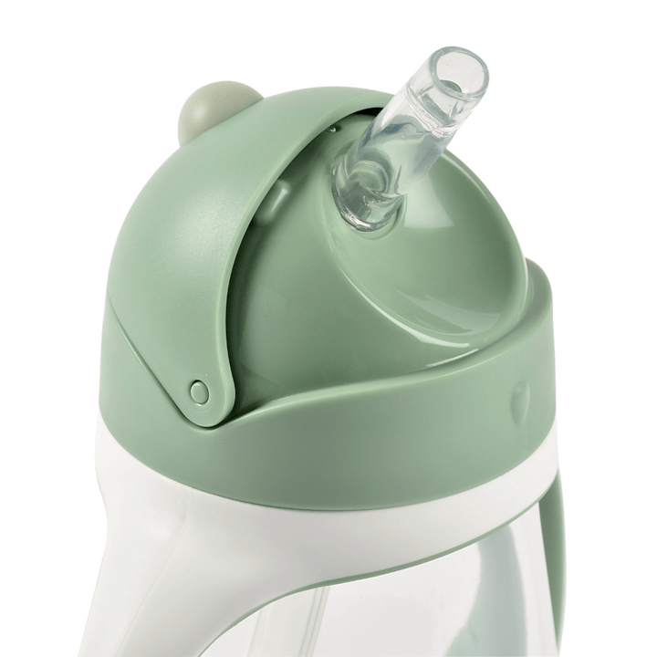 #color_sage-green