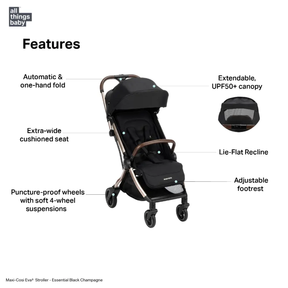 #color_Essential-Black-Champagne