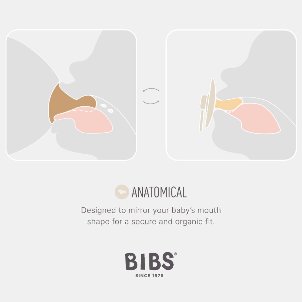 BIBS Latex Orthodontic Nipple Pacifier Size 1 - Pack of 2 (Colour) - Ivory &amp; Sage