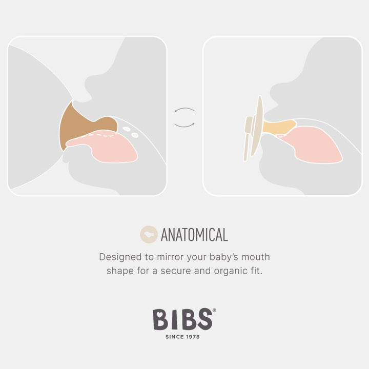 BIBS Latex Orthodontic Nipple Pacifier Size 1 - Pack of 2 (Colour) - Ivory &amp; Sage