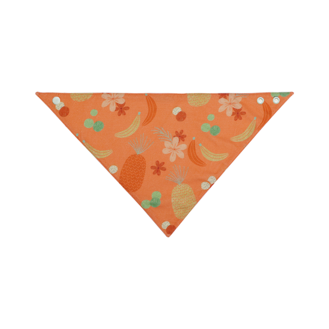 Abracadabra Cotton Jersey Drool Bib Set (Pack of 3) - Hippo &amp; Me - 0-18 Months