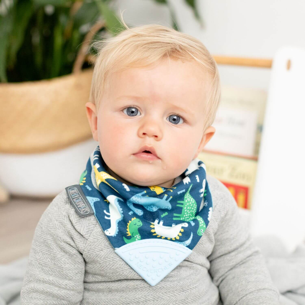 Cheeky Chompers Baby Bib with Teether - Baby Dino Neckerchew