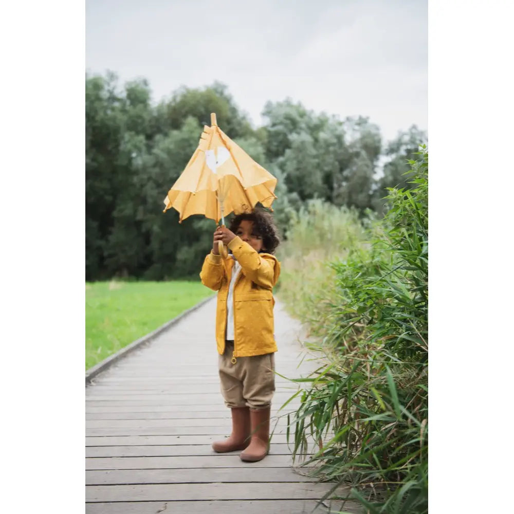 Trixie Umbrella - Mr. Lion