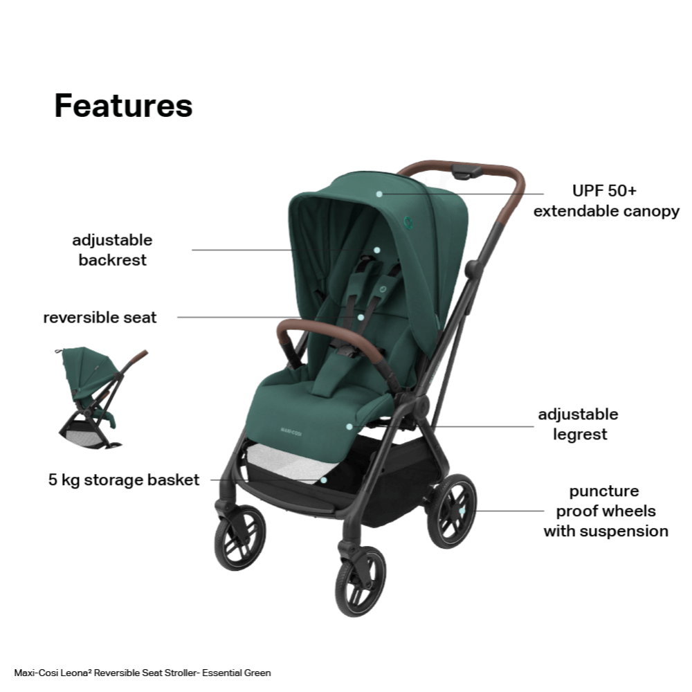#color_Essential-Green