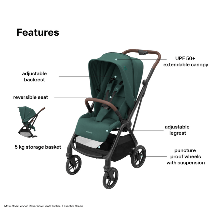 #color_Essential-Green