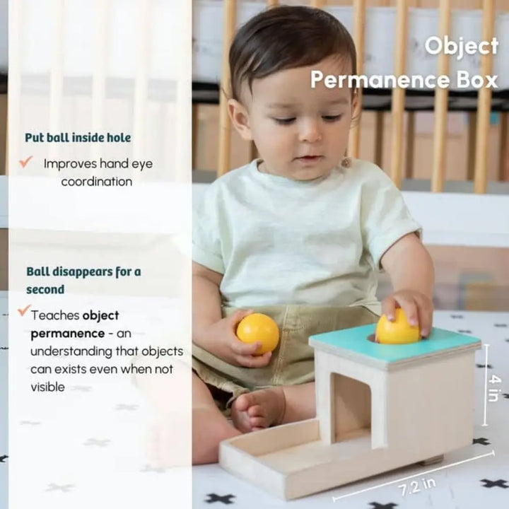 Curious Cub Montessori Box 4 | Baby Learning Toy Set | Object Permanence Box, Sensory Mat &amp; Puzzles | 7+ Months