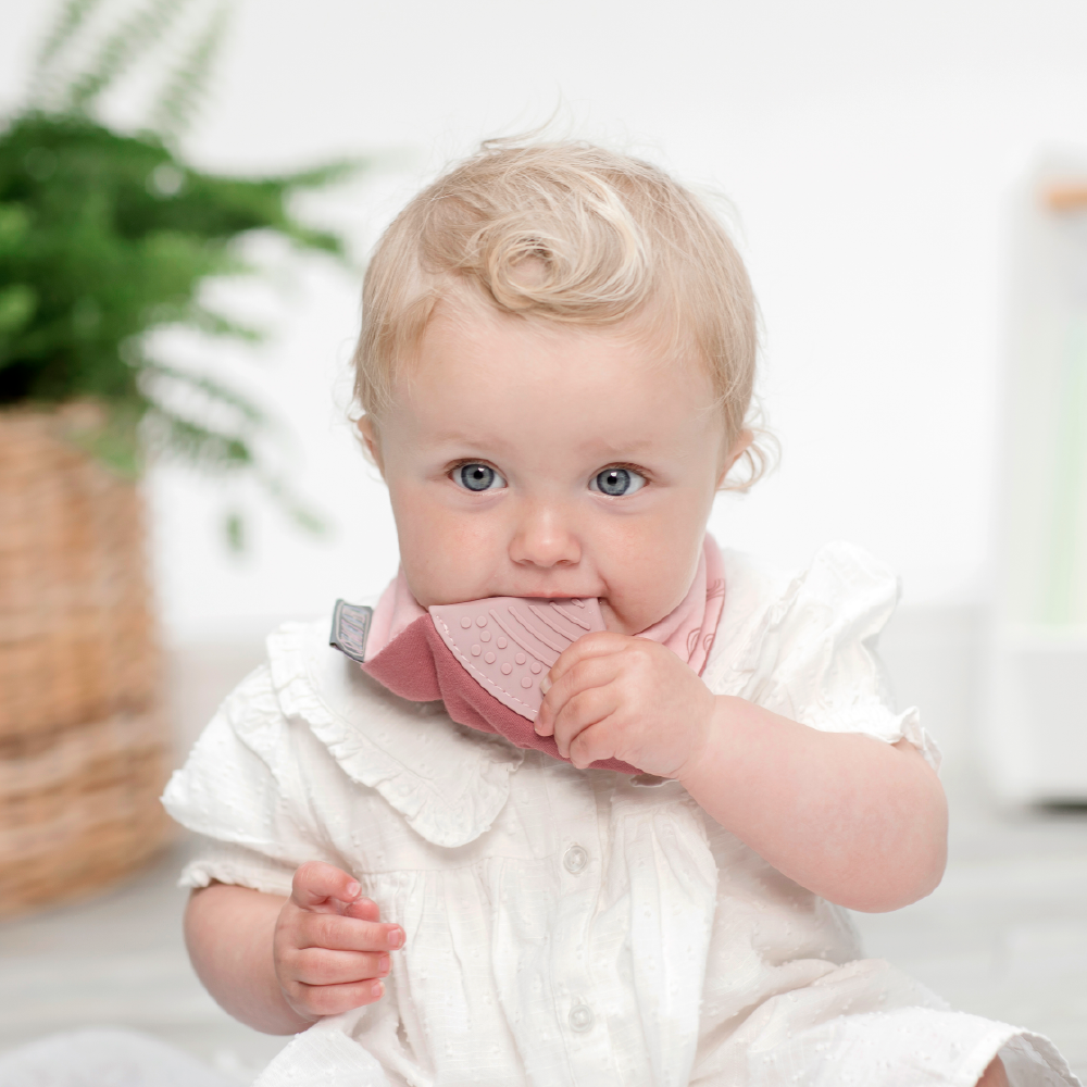 Cheeky Chompers Baby Bib with Teether - Rainbow Rose Neckerchew