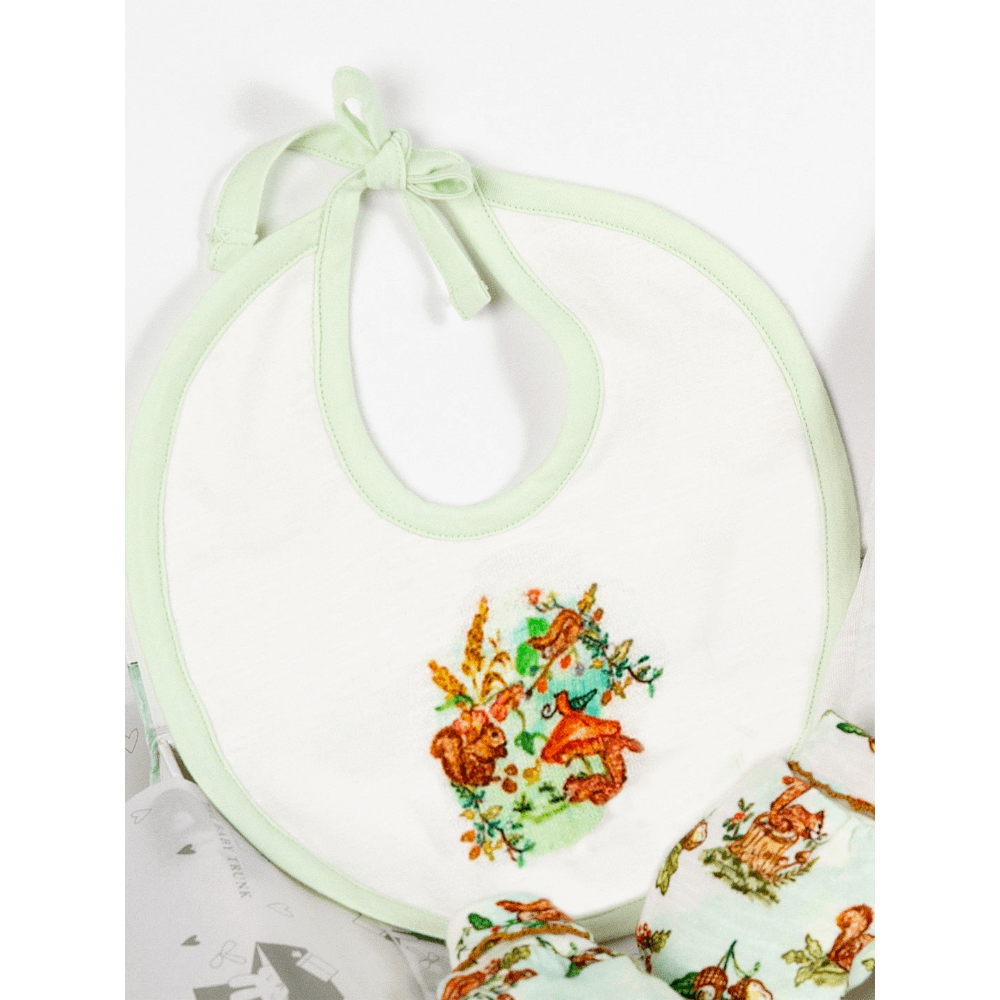 The Baby Trunk Newborn Gift Box – Squirrel Onesie &amp; Hand painted Bib