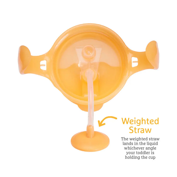 Munchkin Click Lock Tip &amp; Sip Weighted Straw Cup with Handles – Spill-Proof Sippy Cup with Flip-Top Lid, 7oz, BPA-Free, 6+ Months - Orange