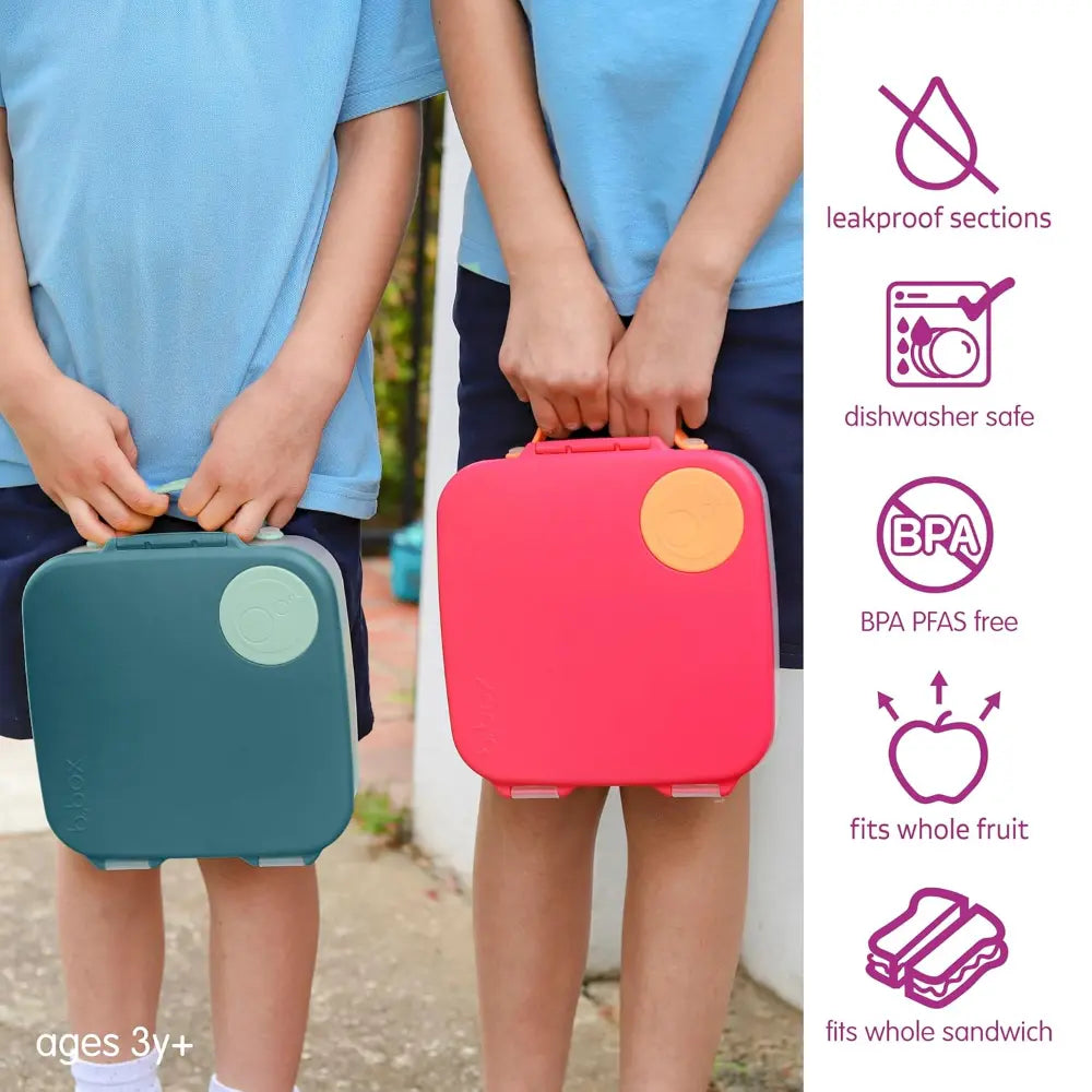 #color_Emerald-Forest-Green