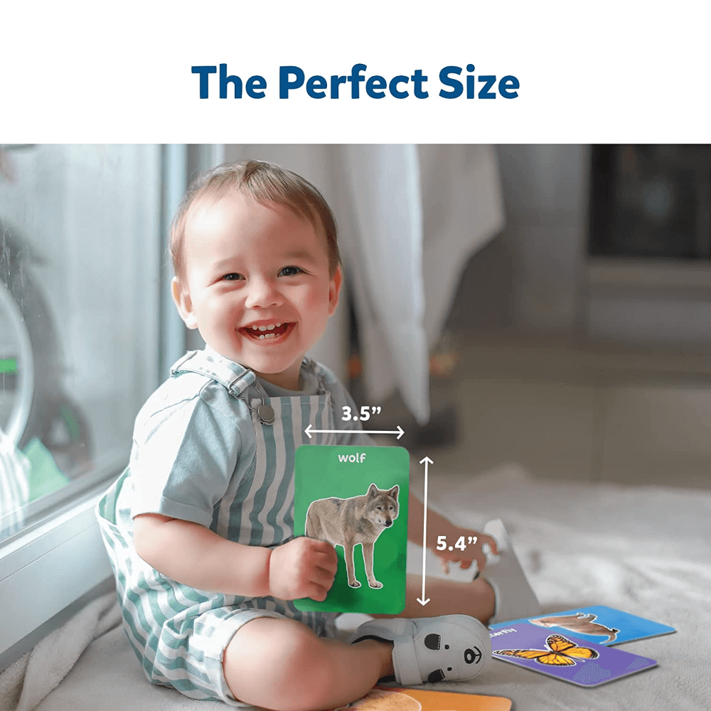 Skillmatics Flash Cards - First 100 Animals (Toddlers)