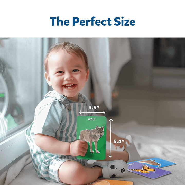 Skillmatics Flash Cards - First 100 Animals (Toddlers)