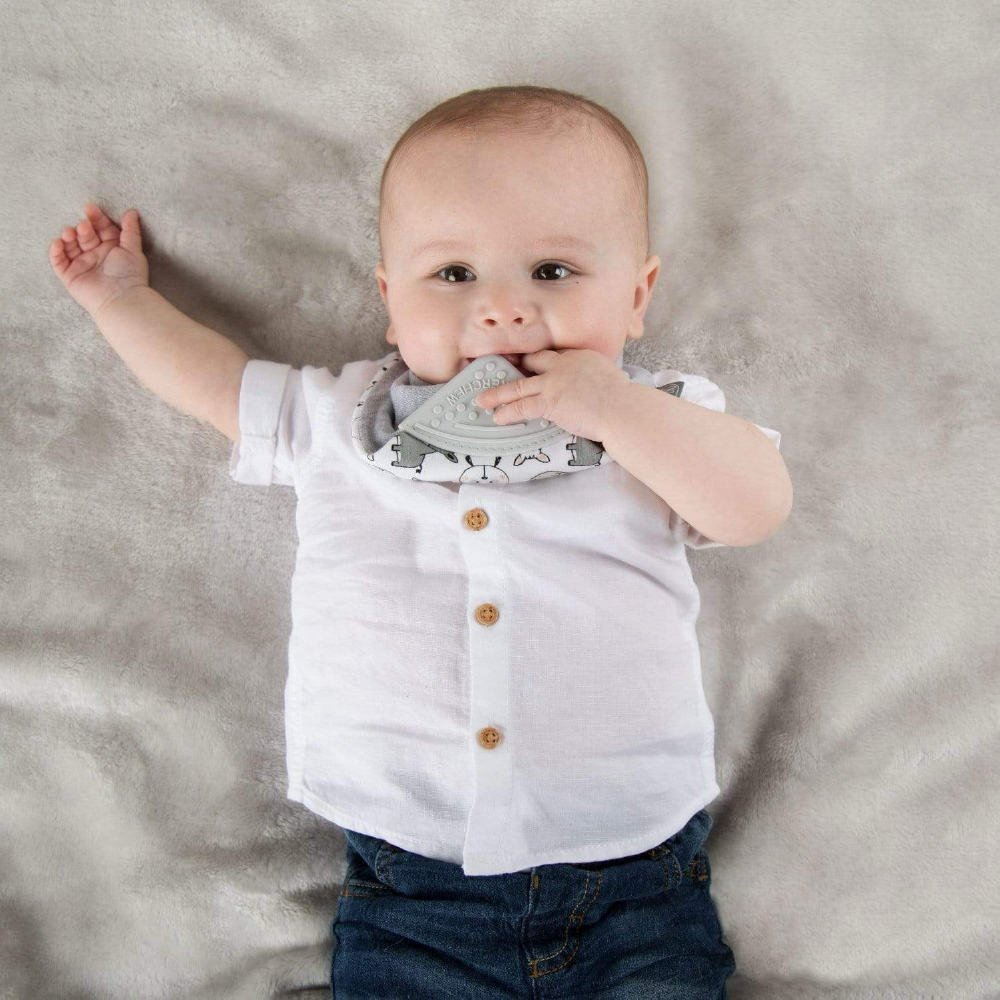 Cheeky Chompers Baby Bib with Teether