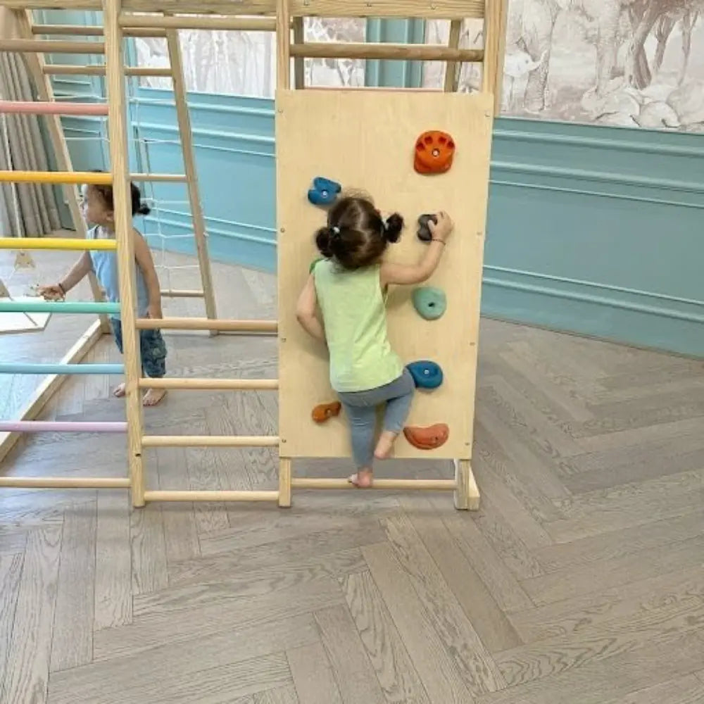 Curious Cub 7-in-1 Indoor Jungle Gym | 7 Activities - Slide, Swing, Monkey Bar, Rope Climbing, Rock Climbing and Wooden Ladder, Rope Ladder | Ages 2-7 Years