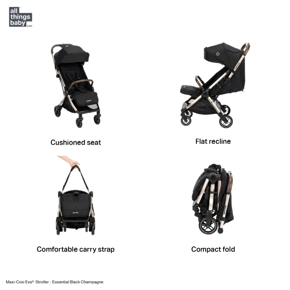 #color_Essential-Black-Champagne