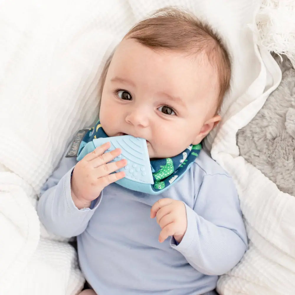 Cheeky Chompers Neckerchew for Babies &amp; Toddlers, Reversible Bib with Attached Silicone Teether, Super Absorbent, BPA-Free, 2–24 Months - Baby Dino