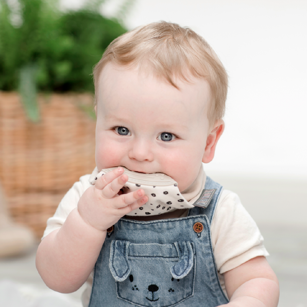 Cheeky Chompers Baby Bib with Teether