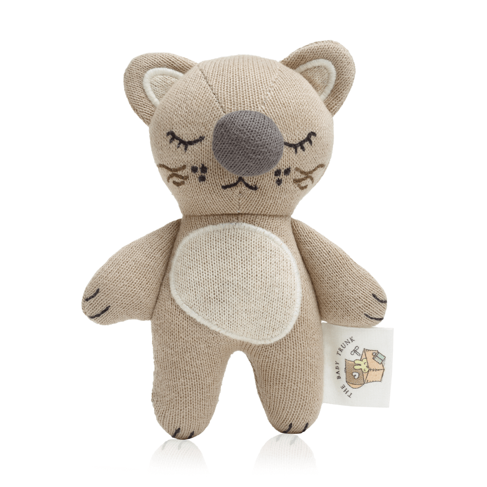 The Baby Trunk Zingy - Zebra