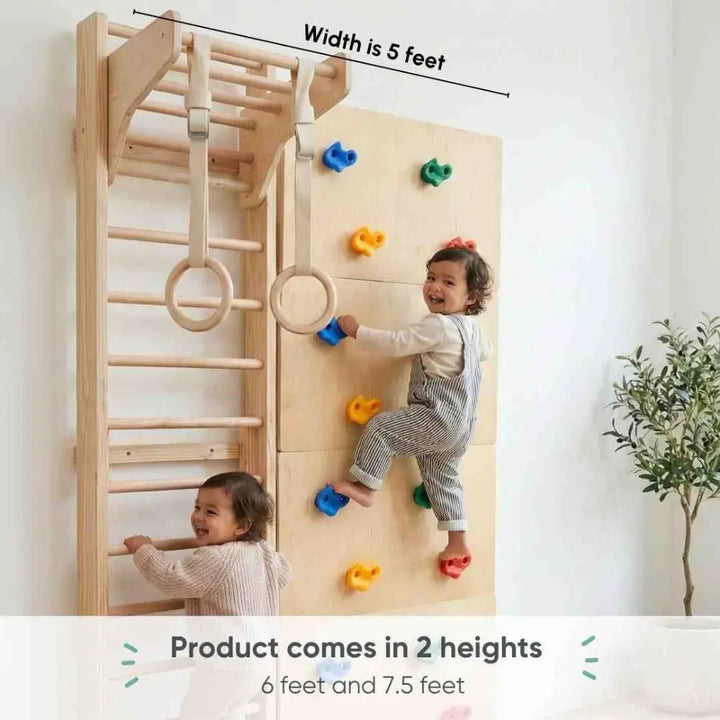 Curious Cub Space Saver Jungle Gym 1 | 4 Components - Wooden Ladder, Moveable Monkey Bar, Rock Climbing, Gymnastic Rings | Ages 4-15 Years