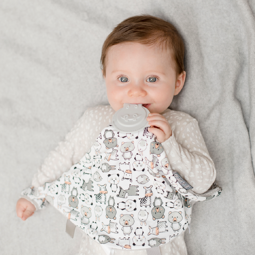 Cheeky Chompers Baby Comforter with Teether