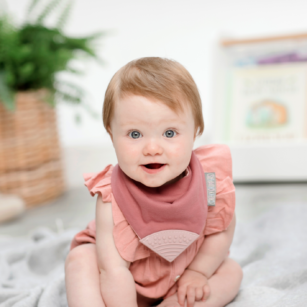 Cheeky Chompers Baby Bib with Teether - Rainbow Rose Neckerchew