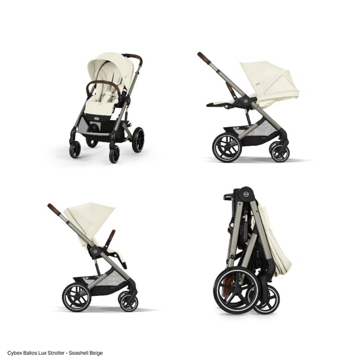 #color_Seashell-Beige