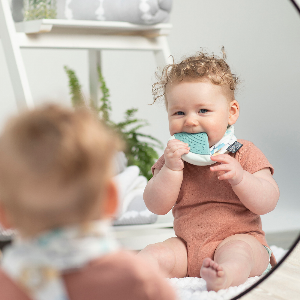 Cheeky Chompers Baby Bib with Teether