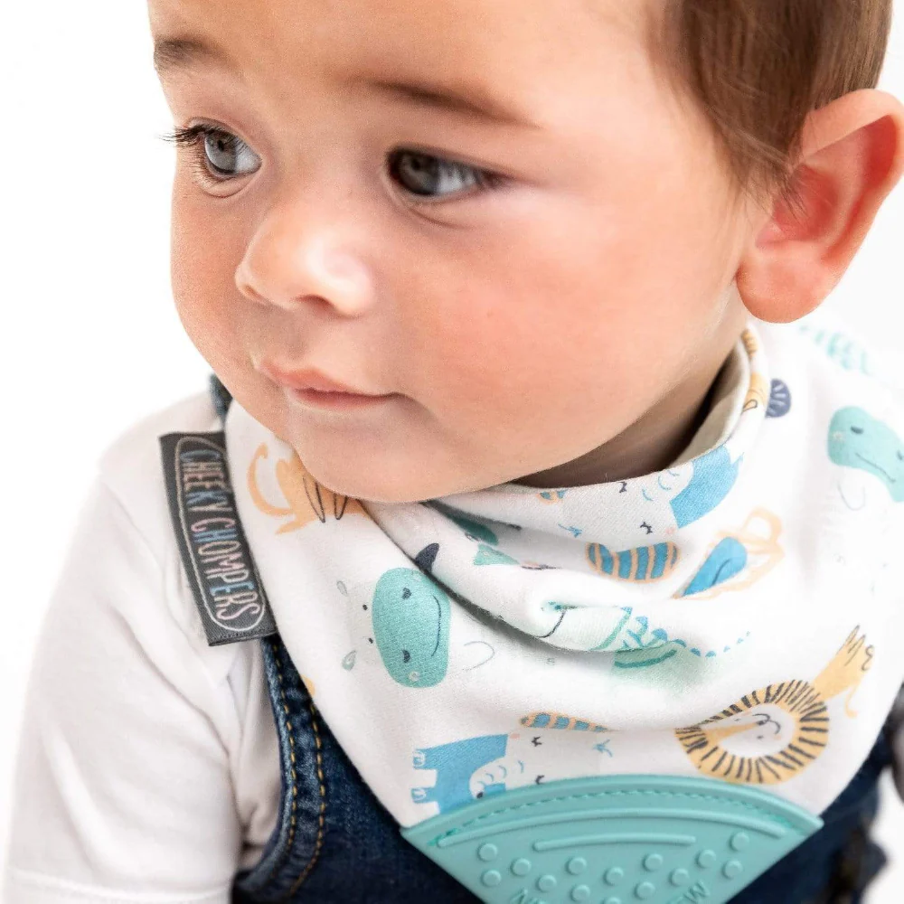 Cheeky Chompers Bib with Teether (Pack of 2)