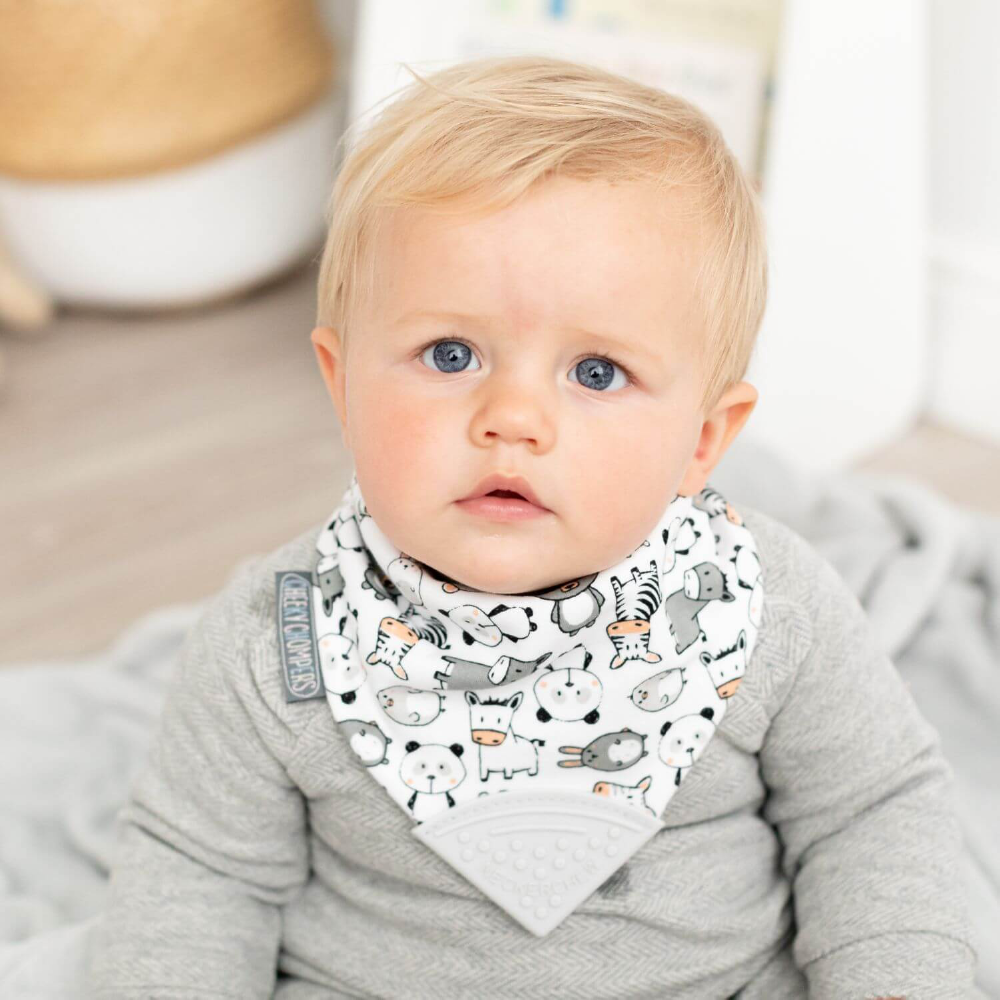 Cheeky Chompers Bib with Teether (Pack of 3) - Multi Print