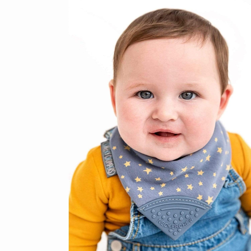 Cheeky Chompers Baby Bib with Teether