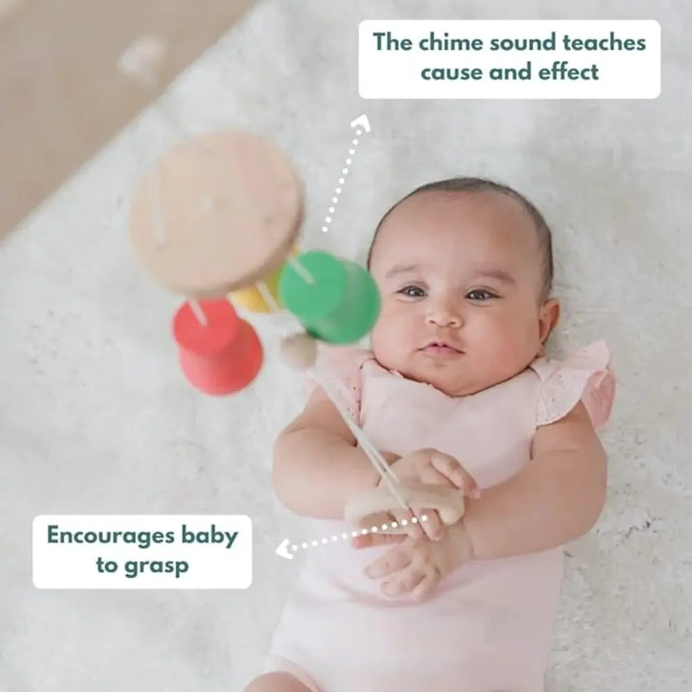 Curious Cub Montessori Box 2 | 9-Piece Baby Sensory Toy Set | Rattle, Mirror, Teether, Flashcards &amp; more | 3+ Months