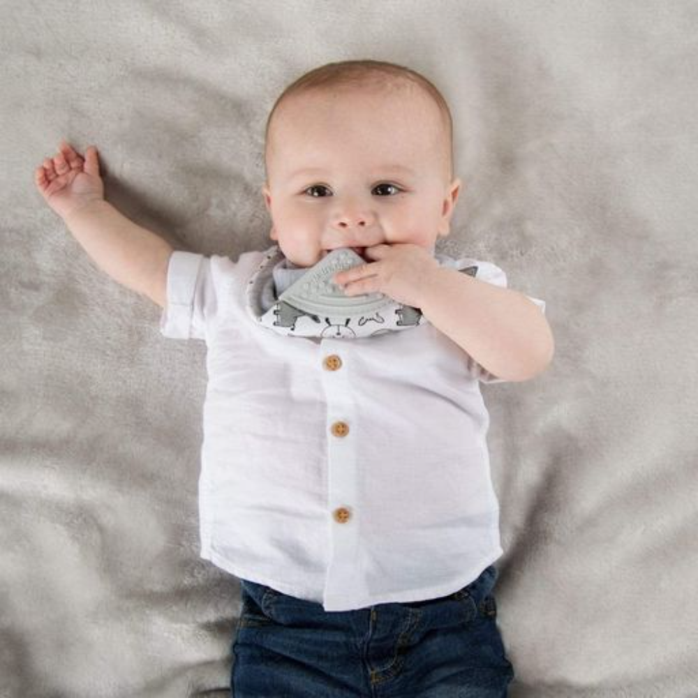 Cheeky Chompers Baby Bib with Teether - Panda Pals Neckerchew