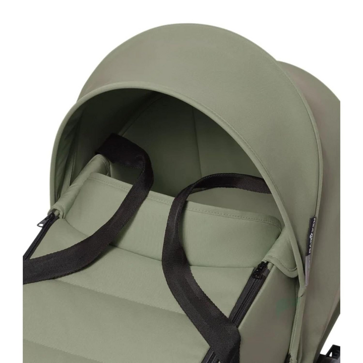 #color_olive